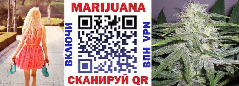 где купить наркоту  Суздаль  MEGA ССЫЛКА  Конопля план 